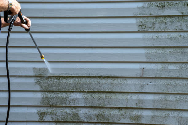 Best Attic Cleanout  in Hayti, PA